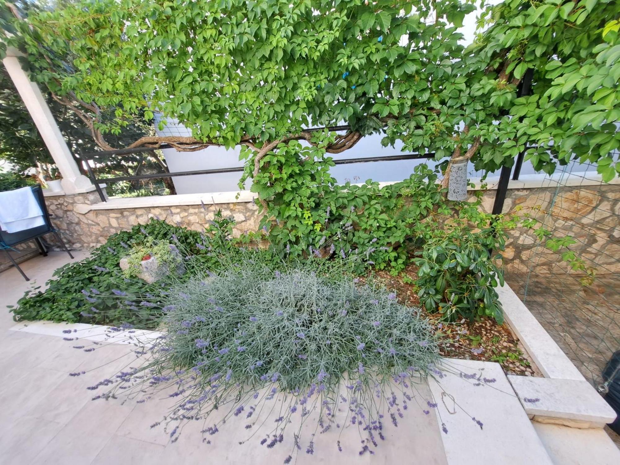 Apartments Ana Zaboric, 50 M Od Sljuncane Plaze Bagian luar foto